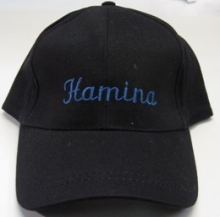 Hamina lippis