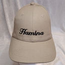 Hamina lippis