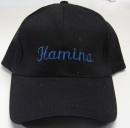 Hamina lippis